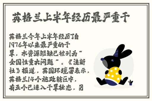 专门看缅北视频软件