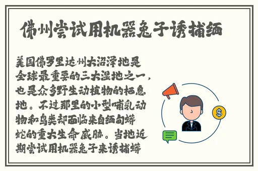 草莓秋葵榴莲亚博